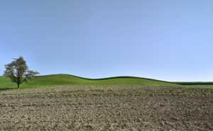Acker Landschaft Landwirtschaft Kurven Farben Hügel Grün Blau Himmel